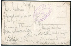 RED CROSS (018236)